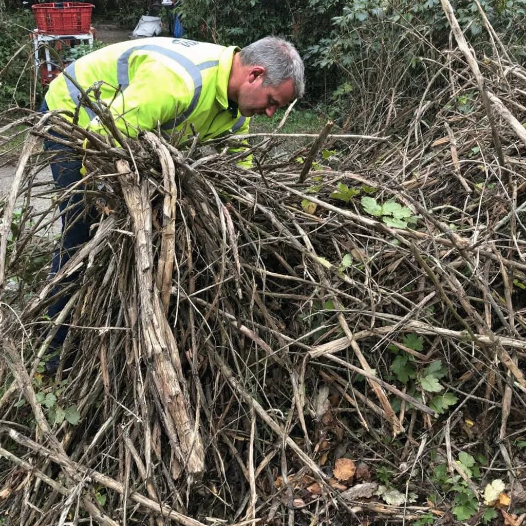 Clearing garden waste efficiently